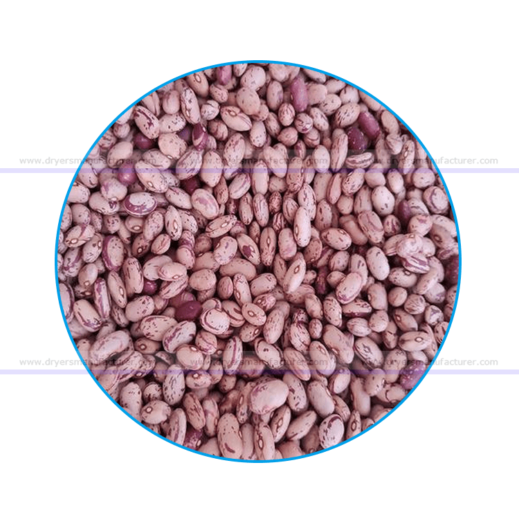 kidney-beans-dryer-kidney-beans-drying-machine-kidney-beans-dehydrator